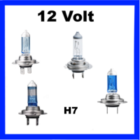H7