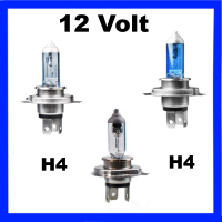 H4