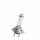 10 Stück M-Tech Halogenlampe H7 12 Volt 55 Watt PX26d